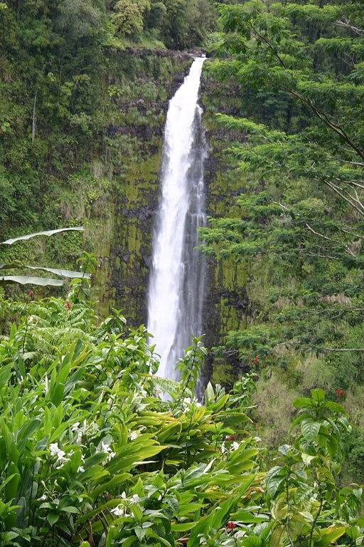 Ganze Wohnung, Schönes und geräumiges Studio-Apartment auf dem großen Golfplatz in Hilo in Hilo, South Hilo