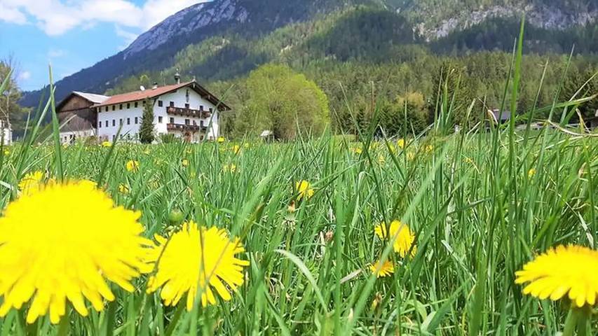 Bauernhof für 4 Personen, mit Garten am Achensee - 2