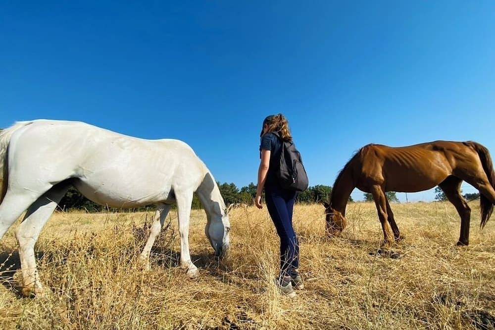 Ganze Wohnung, Studio Maya surrounded by nature and horses in Jouques, Aix-en-Provence und Umgebung