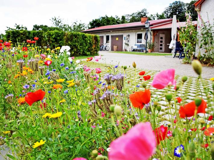 Ferienwohnungen auf dem Pommernhof mit großem Garten! - Ferienwohnung Pommernhof mit Terrasse im Eg in Samtens, Rügen