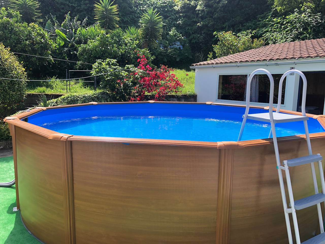 Pet-Friendly Villa Azores Sunrisehouse with Sea View, Pool, Jacuzzi, Wi-Fi, Terrace & Garden in São Miguel Island, Nordeste