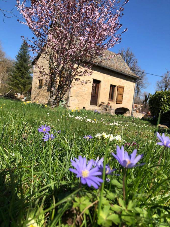 Maison de vacances pour 2 personnes, avec terrasse et jardin