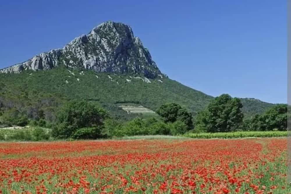 Apartamento entero, Le petit nid du Lez\" studio  in Prades-le-Lez, Region de Montpellier