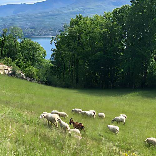 La Bergerie De Claude in Le Bourget-du-Lac, Chambéry region