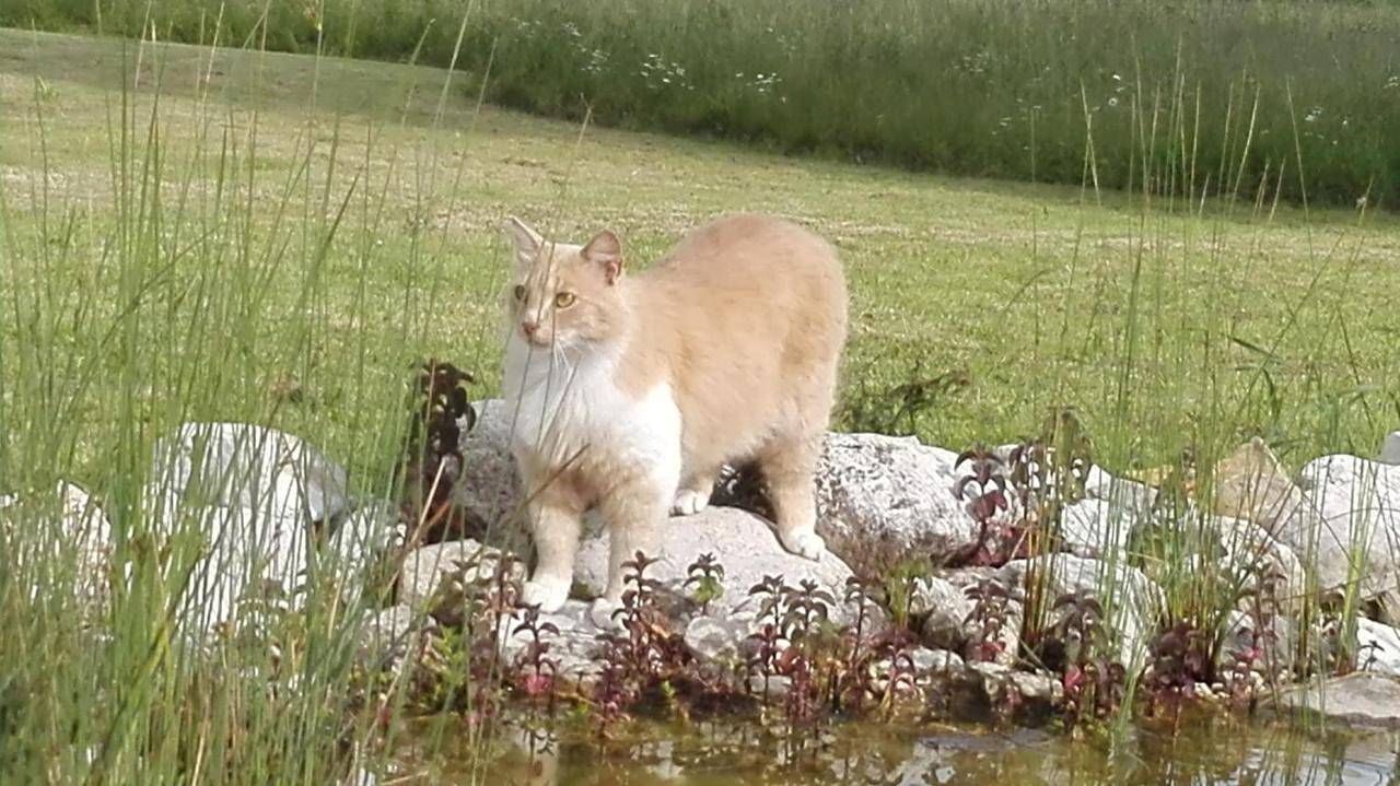 Antica Dimora in Sarnano, Parco nazionale dei Monti Sibillini
