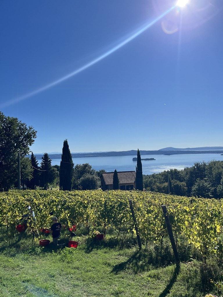 Haus inmitten der regenerativen Weinberge von Bolsena in Latera, Viterbo Provinz