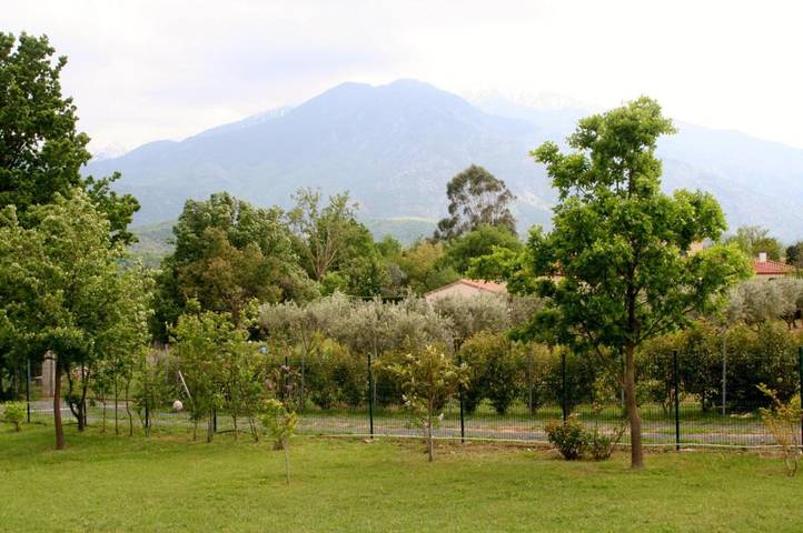 Location de vacances pour 2 personnes, avec vue et jardin à Los Masos - 2