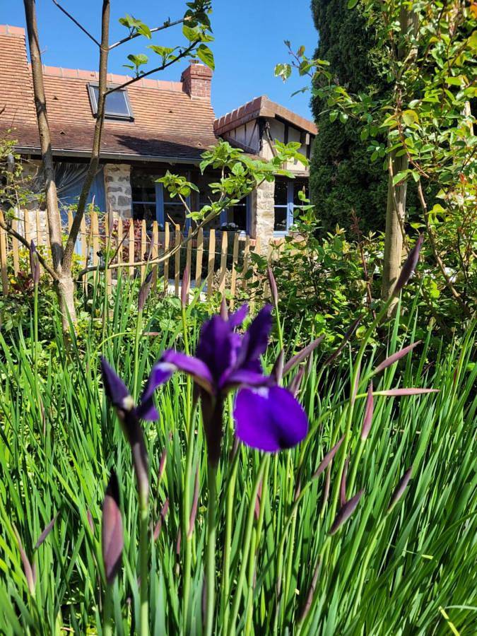 Location de vacances pour 3 personnes, avec piscine ainsi que vue et jardin à Saint-Denis-de-Villenette - 4