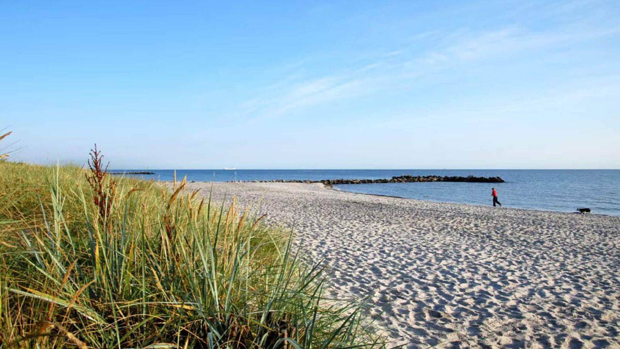 Ferienhaus für 3 Personen (50 m²) in Kalifornien in Kalifornien (Ostsee), Schönberg