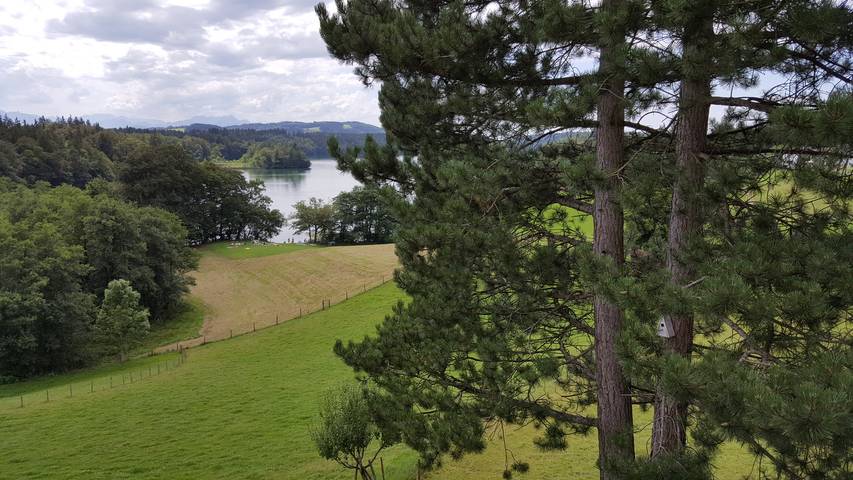 Ferienwohnung für 2 Personen, mit Balkon/Terrasse und Balkon sowie Seeblick im Chiemgau - 3