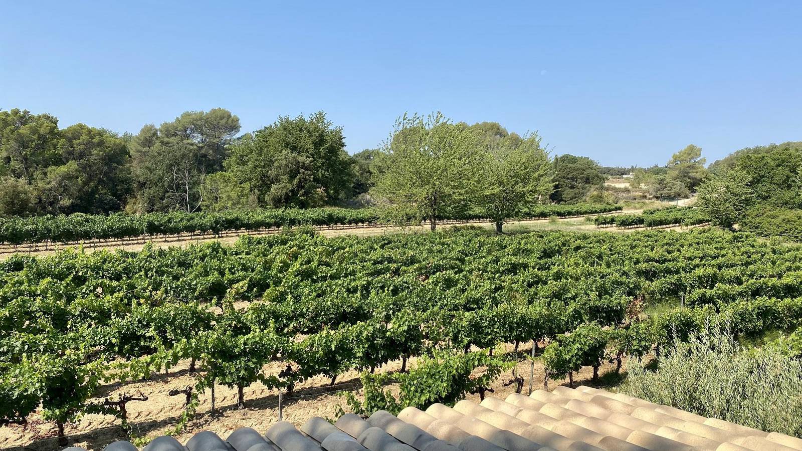 Le Cabanon du Capelan in La Motte, Région de Draguignan