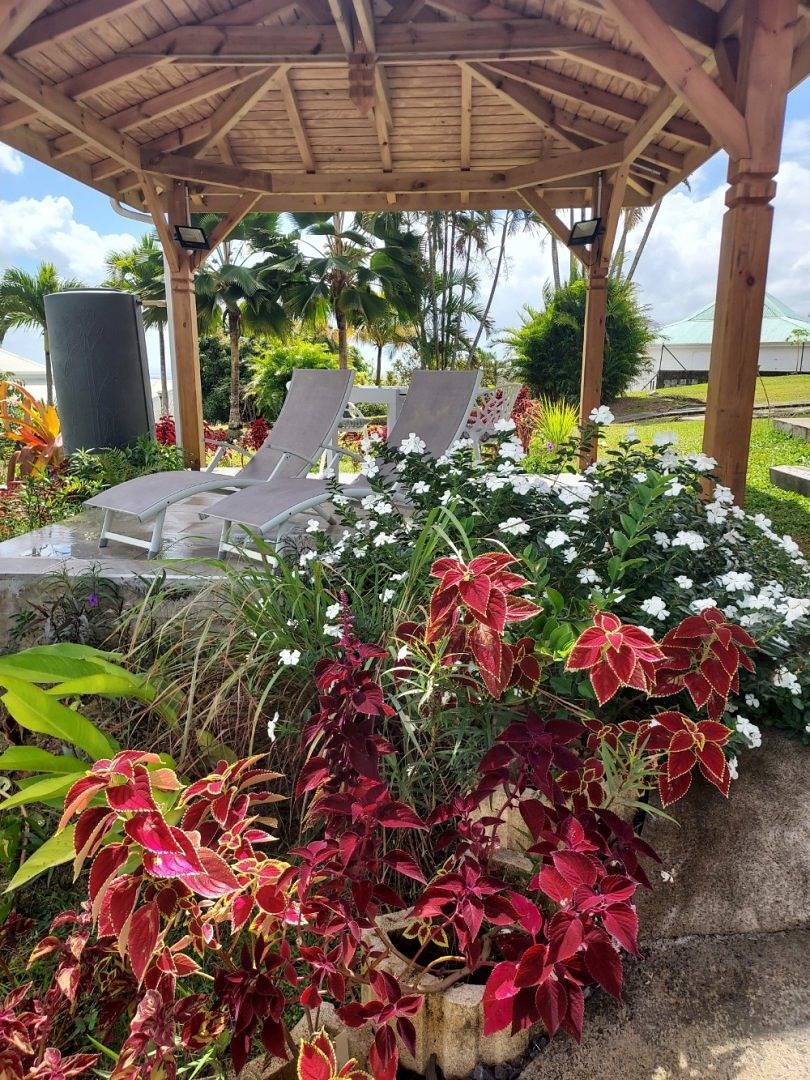 Guadeloupe Sofaia Chambres d'hotes Mon Petit Paradis - Au petit paradis in Sainte-Rose, Guadeloupe