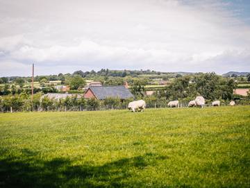 Holiday Rental for 7 People in Macefen, Cheshire, Photo 3
