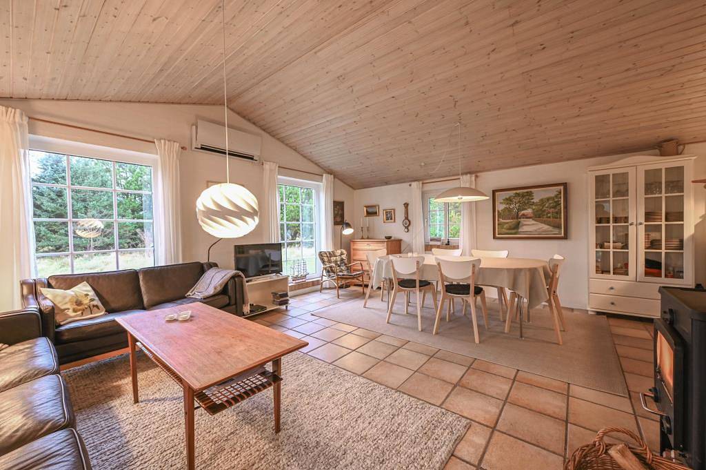 Schönes Reetdachhaus mit viel Privatsphäre und herrlicher Südterrasse in Ulfborg, Holstebro und Umgebung
