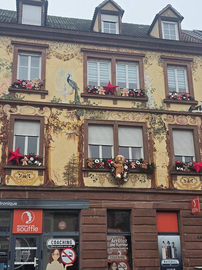 Gîte pour 6 personnes, avec terrasse dans Thermes Niederbronn-les-Bains - 4