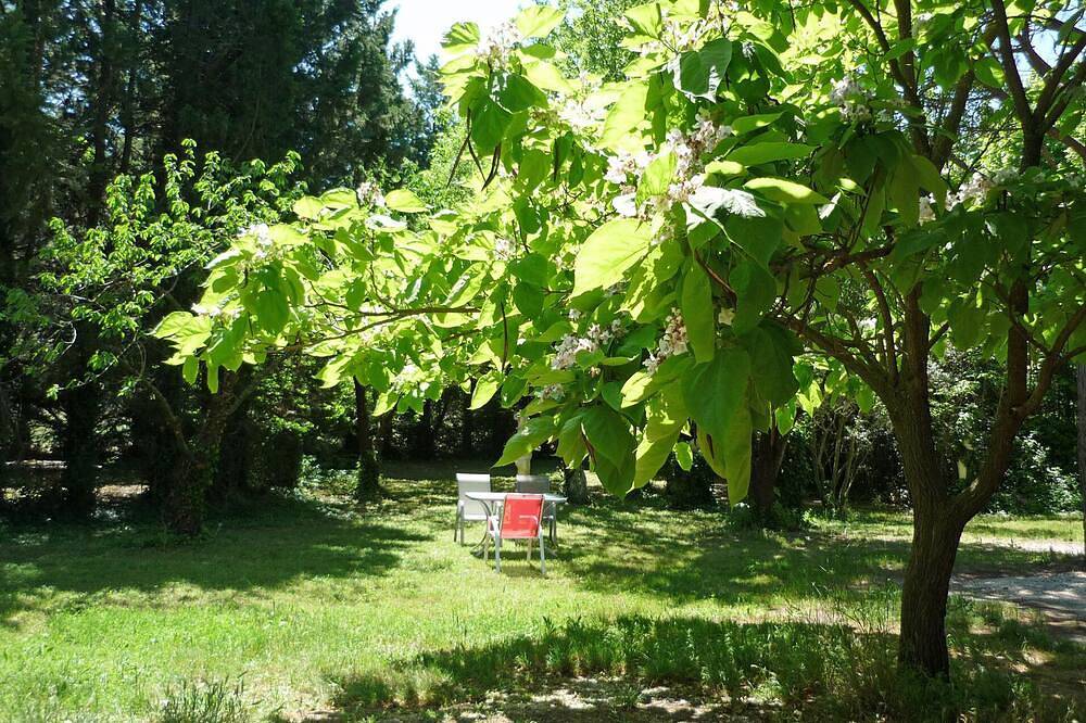 Apartamento entero, Zona tranquila entre Avignon y Saint Remy, de habla alemana propietario in Noves, Region de Arles
