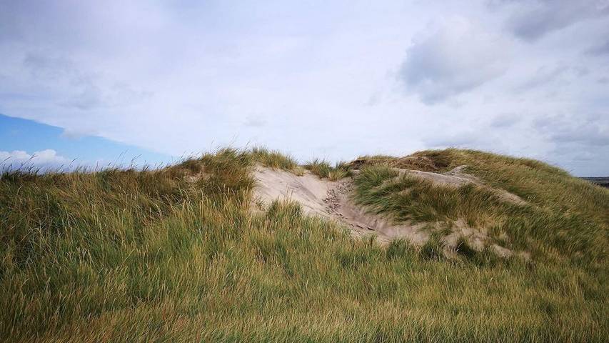 Ferienhaus für 5 Personen, mit Terrasse in Nørlev Strand - 4