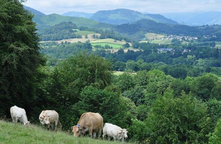 Location de vacances pour 11 personnes, avec terrasse et jardin en Pyrénées-Atlantiques - 4