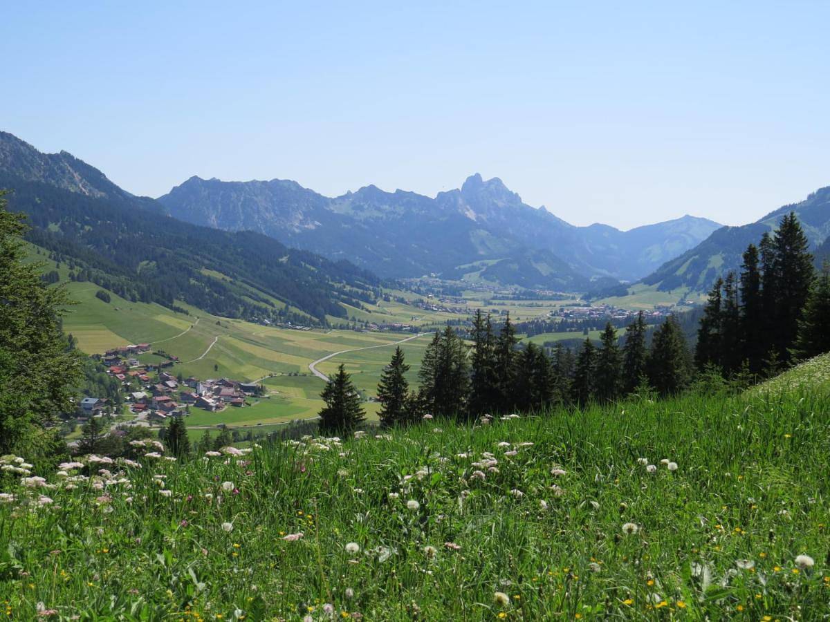 Ganze Wohnung, Haus Baumgartner in Schattwald, Allgäuer Alpen (Österreich)
