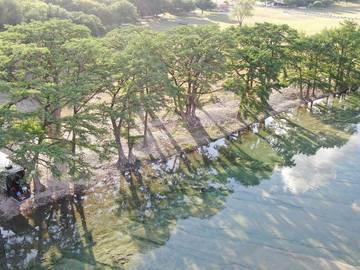 Blockhütte für 24 Personen in Texas Hill Country, Texas, Bild 3