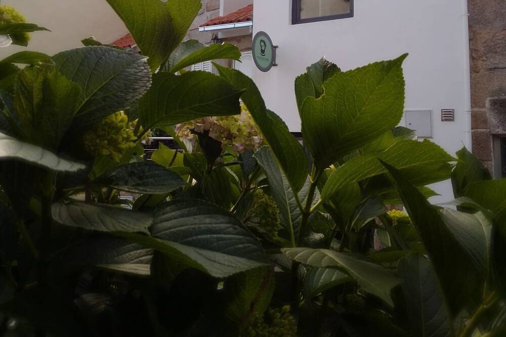 Casa vacanza a Nelas Comune a partire da 89€ a notte