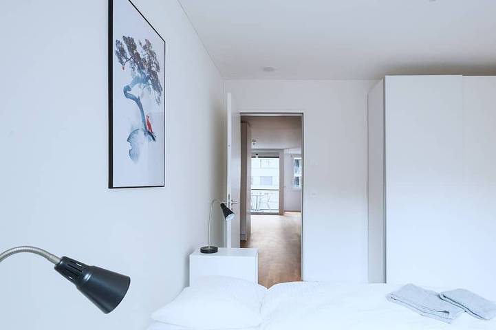 Appartamento intero, Bs Fox I - Messe Hitrental Apartment in Basel Zustellkreis, Basilea