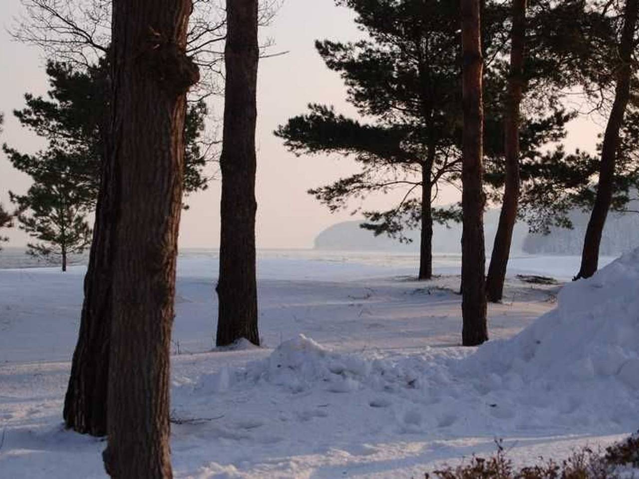 Ganze Ferienwohnung, ! Neu ! Ferienhaus Binz - Ferienwohnung 3 in Binz, Rügen