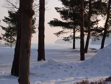 Ferienwohnung für 3 Personen in Binz, Rügen, Bild 3