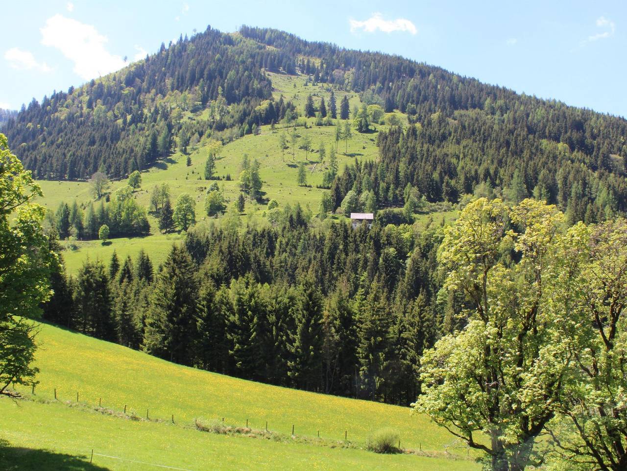 Zauneralm - Doppelzimmer mit Dusche u. fl. Wasser (Wc im Gang) in Gössenberg, Schladming-Dachstein