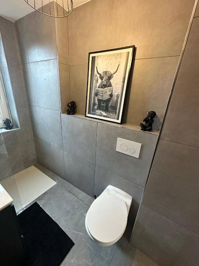 Gîte pour 13 personnes, avec terrasse à Lutterbach - 4