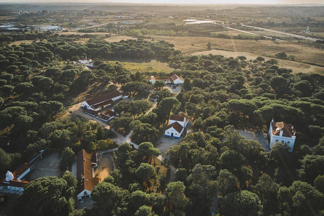 Quinta Dos Anjos in Santarém, Distrito de Santarém