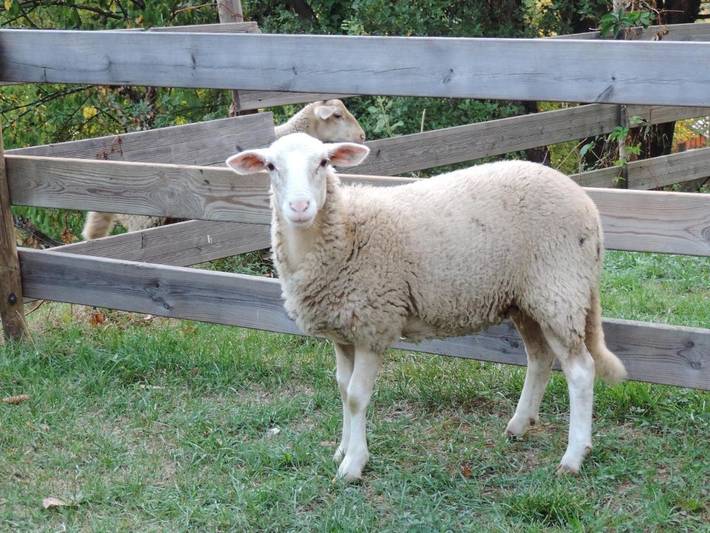 Location de vacances pour 6 personnes, avec vue et jardin à Chamborigaud - 3