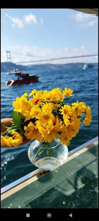 Vakantiehuis voor 4 personen, with terras and uitzicht as well as tuin in Istanbul