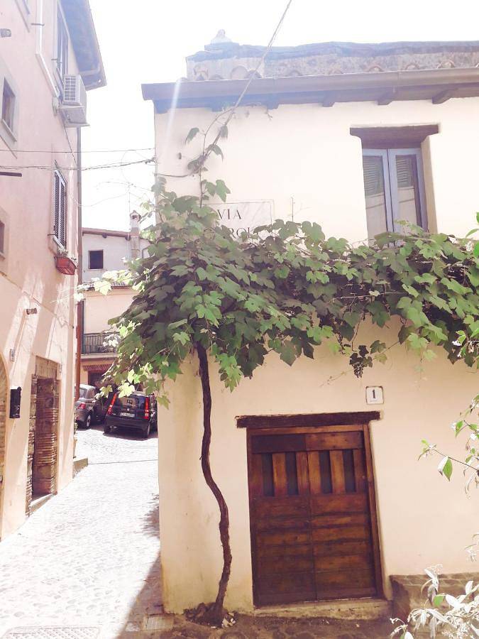 Appartamento intero, La Casa di Livia in Trevignano Romano, Lago di Bracciano