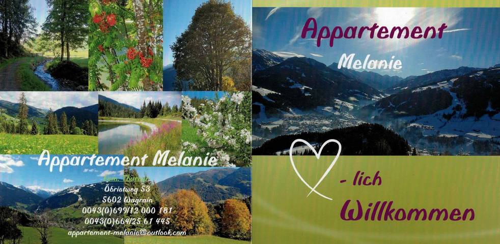Geheel vakantieappartement, Appartement, douche, Wc, 1 slaapkamer in Wagrain, Ski Amadé
