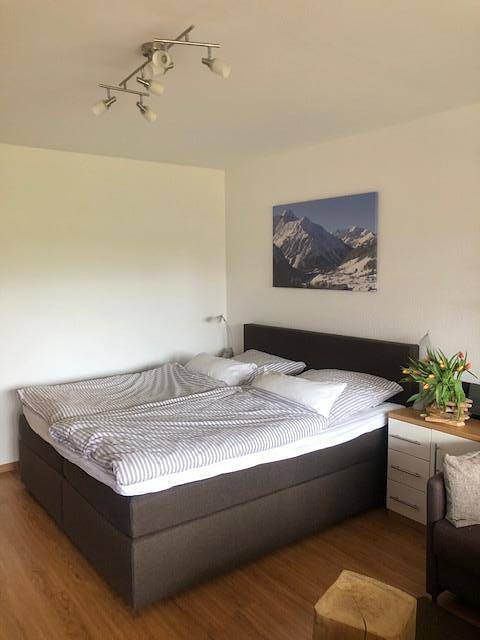 Apartamento vacacional entero, Appartement/Fewo, Dusche, Wc, 1 Schlafraum in Mittelberg, Kleinwalser valley