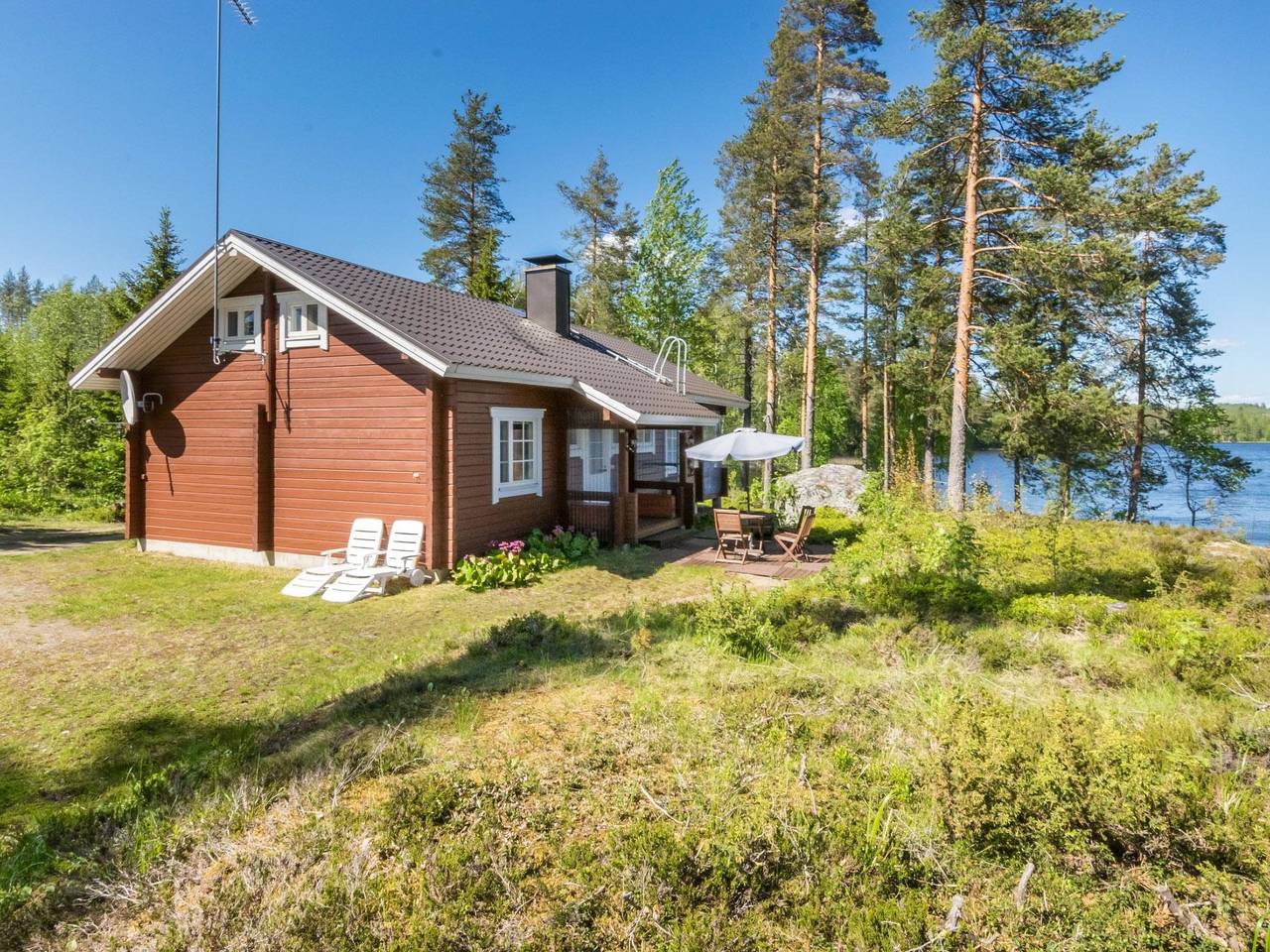 Pajulintu in Parikkala, Südkarelien