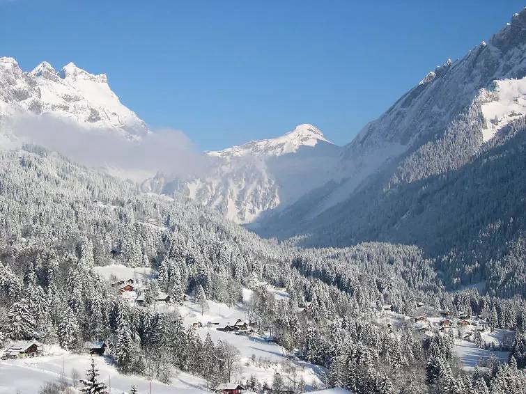 Chalet 8 Personnes in Gryon, Alpes Vaudoises