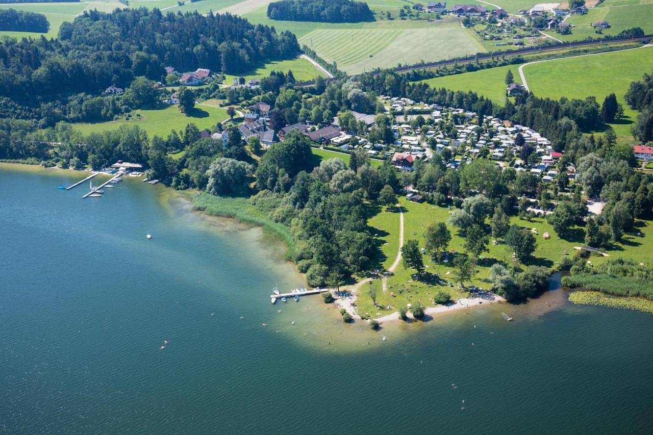 Ganze Wohnung, Chalet Wallersee in Seekirchen am Wallersee, Bezirk Salzburg-Umgebung