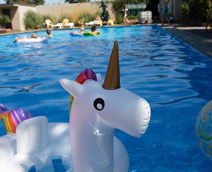 Hôtel pour 3 personnes, avec piscine ainsi que vue et jardin dans Weelde - 3