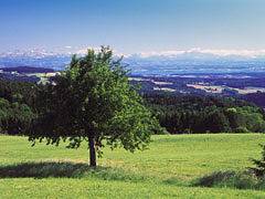 Höchsten Natur Erlebnis Hotel - Einzelzimmer Kat. I mit Dusche und Wc in Illmensee, Region Bodensee-Oberschwaben