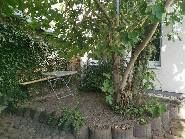 Ferienhaus für 9 Personen, mit Garten in Neustadt in Holstein - 3