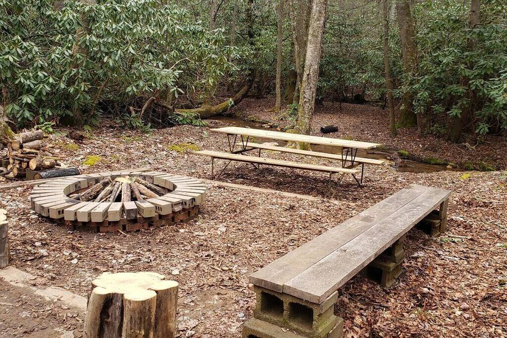 Abseits der ausgetretenen Pfade bei Buffalo Mountain Getaway in Blue Ridge Parkway, Floyd County