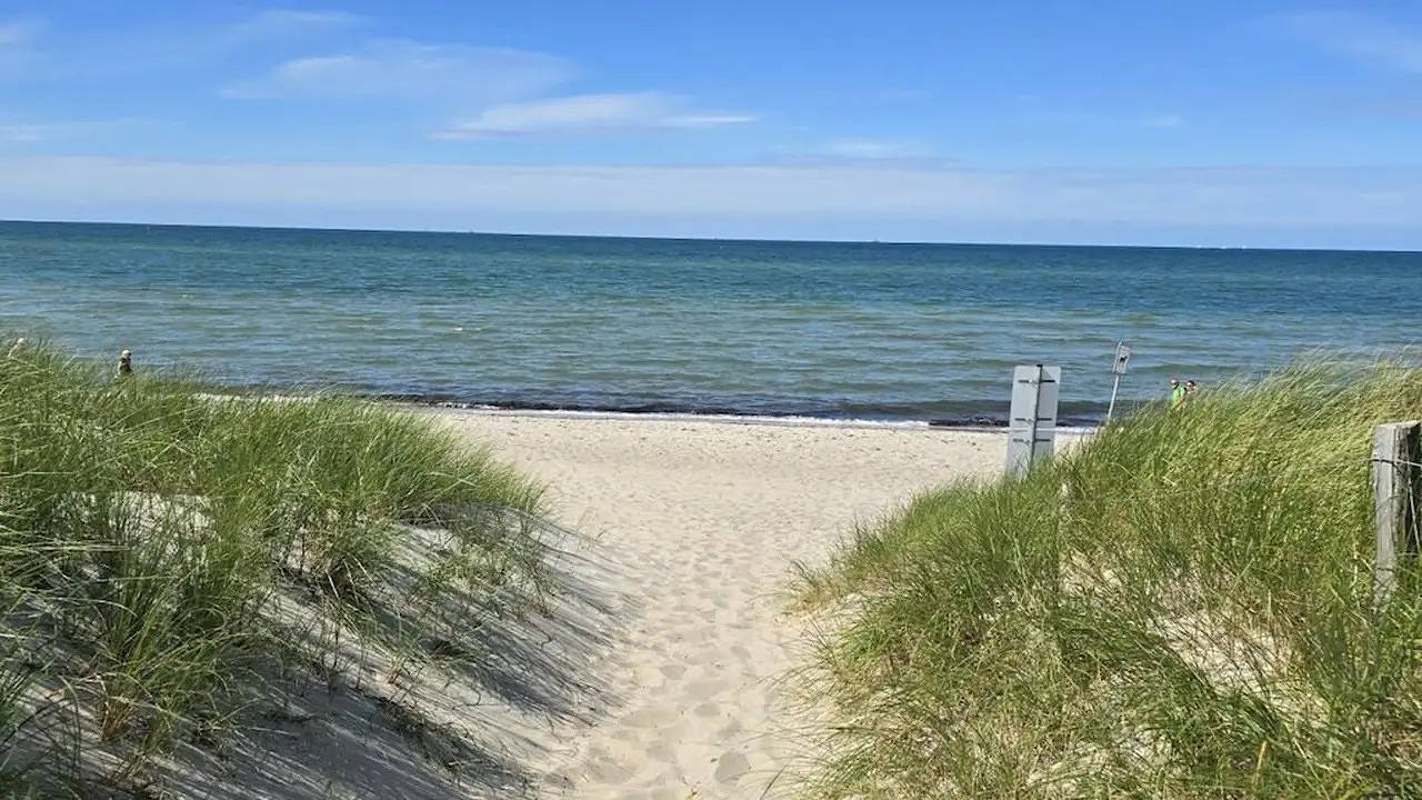 Ferienhaus für 2 Personen (58 m²) in Dierhagen (Ostseebad) in Dierhagen Strand, Dierhagen