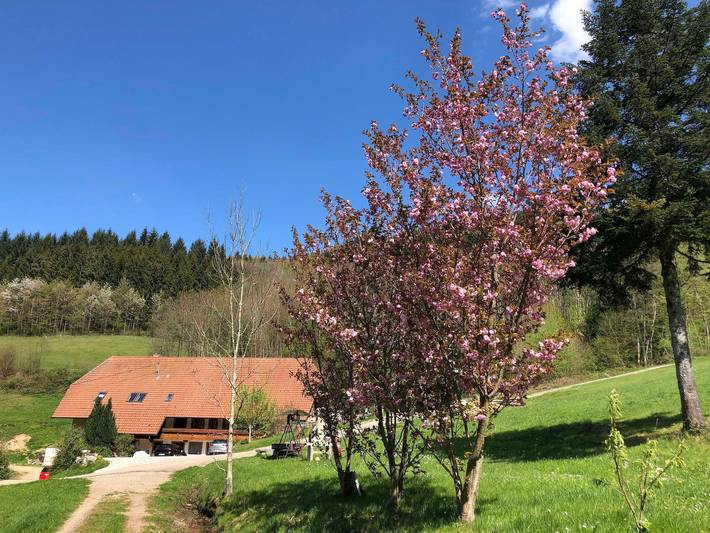 Ferienhaus für 3 Personen, mit Balkon und Garten sowie Seeblick und Ausblick in Markgraeflerland