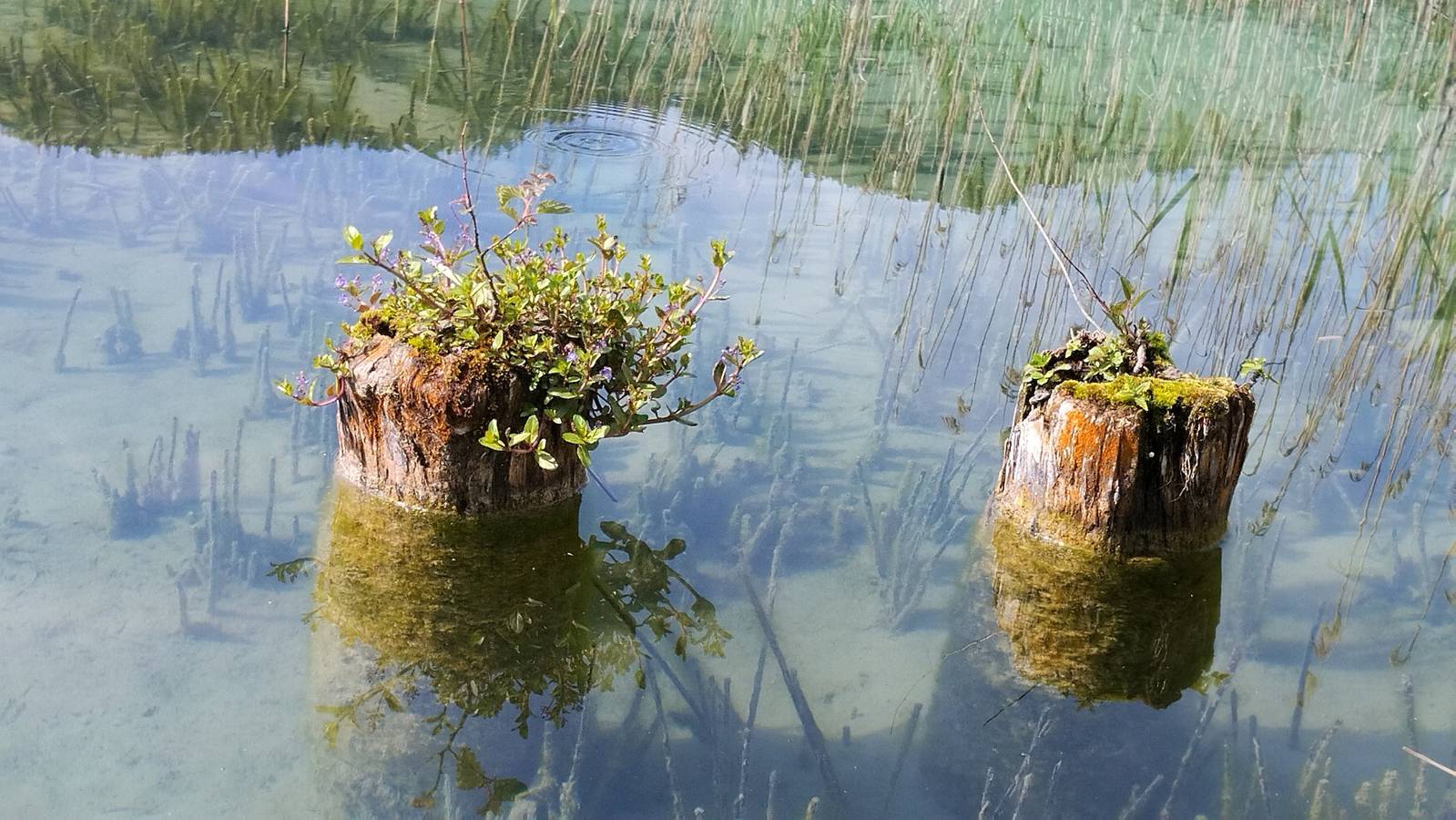 Vakantiewoning 'Birke' met uitzicht op het meer, privéterras en wifi, foto 11