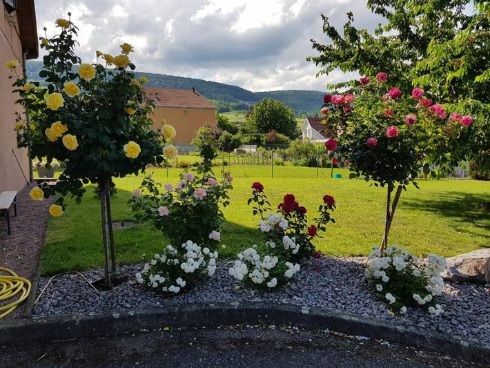 Gîte pour 5 personnes, avec terrasse et jardin à Pfaffenheim - 2