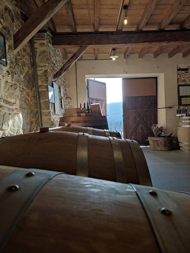 Gîte voor 12 personen met tuin in Quincié-en-Beaujolais, Villefranche-sur-Saône en omgeving