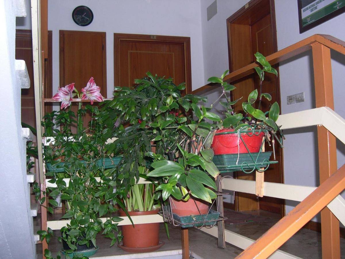 Appartamento intero, Mansarda in montagna in Cutigliano, Iano