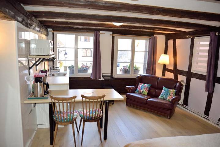 Chambre d’hôte pour 2 personnes, avec jardin à Colmar - 4